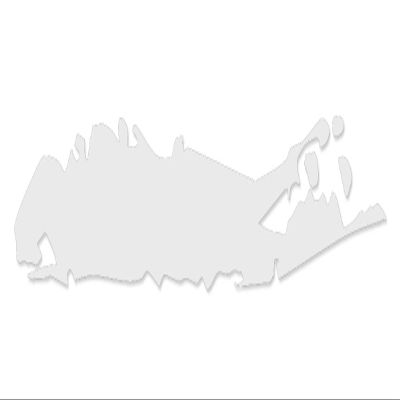 Applicable Pun Long Island Shape - Vinyl Decal for Outdoor Use on Cars, ATV, Boats, Windows and More - White 3 inch