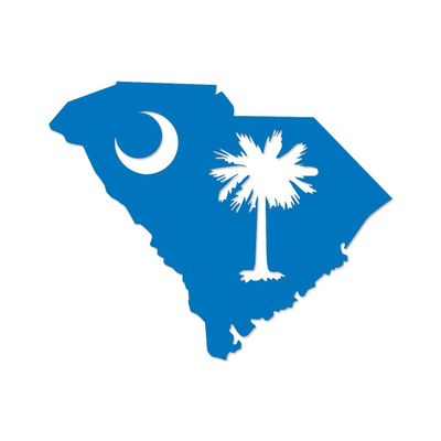 Applicable Pun South Carolina State Flag Map Shape - Vinyl Decal for Outdoor Use on Cars, ATV, Boats, Windows and More - Sky Blue 11 inch