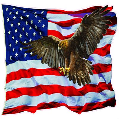 American Flag Golden Eagle V2 Decal RV Graphics (36" x 21.5)