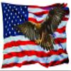 American Flag Golden Eagle V2 Decal RV Graphics (36" x 21.5) view 1
