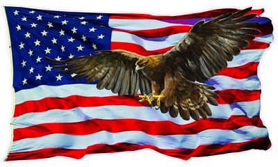 American Flag Golden Eagle V2 Decal (24" x 14")
