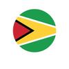 ION Graphics Magnet Round Guyanese Flag Magnetic Vinyl Guyana Guy GY 5" Car Magnet Bumper Sticker view 1