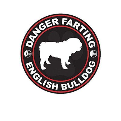 ION Graphics Magnet Danger Farting English Bulldog Magnetic Vinyl Dog Canine pet 5" Car Magnet Bumper Sticker
