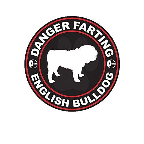 ION Graphics Magnet Danger Farting English Bulldog Magnetic Vinyl Dog Canine pet 5" Car Magnet Bumper Sticker