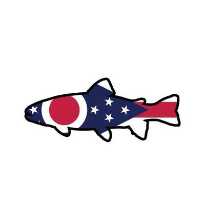 ION Graphics Magnet Ohio State Shaped Trout Magnetic Vinyl Cinyl Decal OH Fly Fishing Fish 5" Car Magnet Bumper Sticker
