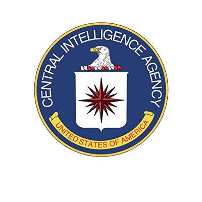 ION Graphics Magnet Central Intelligence Agency CIA Seal Magnetic Vinyl Black USA Clandestine 5" Car Magnet Bumper Sticker