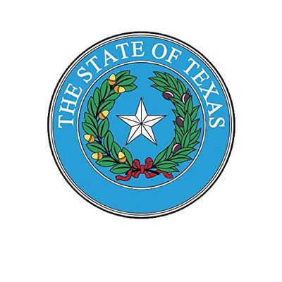 ION Graphics Magnet Texas State Seal Magnetic Vinyl Lone Star Gods Country 5" Car Magnet Bumper Sticker