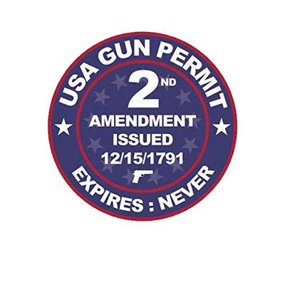 ION Graphics Magnet USA Gun Permit 2nd Amendment Magnetic Vinyl 2a Gun Rights 5" Car Magnet Bumper Sticker