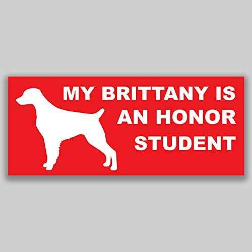 JB Print Magnet My Brittany is an Honor Student Dog Mom Vinyl Decal Sticker Car Waterproof Car Decal Magnetic Bumper Sticker 5"