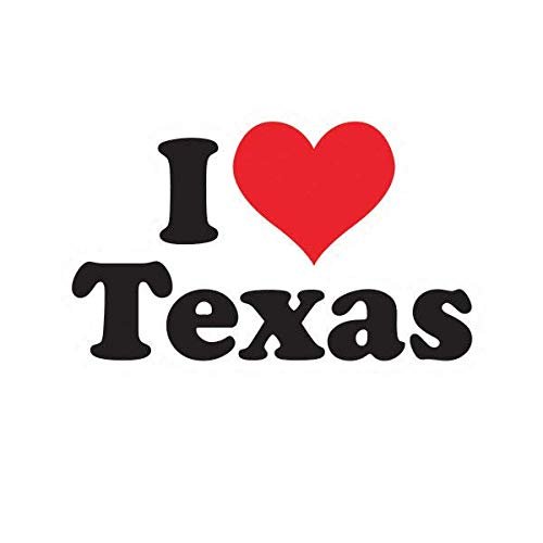 ION Graphics Magnet I Love Texas Magnetic Vinyl Heart Secede Secession TX 5" Car Magnet Bumper Sticker