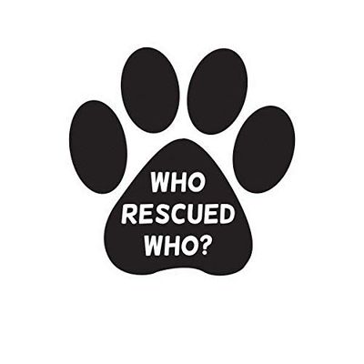 ION Graphics Magnet Who Rescued Who Paw Magnetic Vinyl Die Cut Decal Dog cat Animal Adopt Rescue 5" Car Magnet Bumper Sticker