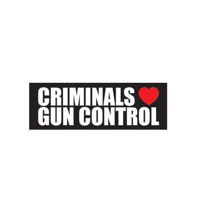 ION Graphics Magnet Criminals Love Gun Control Magnetic Vinyl 2a 2nd Amendment Gun Rights 5" Car Magnet Bumper Sticker