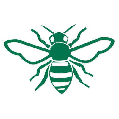 Applicable Pun Honey Bee - Vinyl Decal for Outdoor Use on Cars, ATV, Boats, Windows and More - Green 5 inch