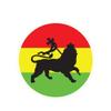 ION Graphics Magnet Rasta Lion of Judah Magnetic Vinyl Die Cut Decal Tribe of Jewish Reggae 5" Car Magnet Bumper Sticker view 1