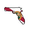 ION Graphics Magnet Gunshine Florida State Gun Shape Magnetic Vinyl Magnetic Vinyl Vinyl FL Sunshine Guns 2A 5" Car Magnet Bumper Sticker view 1