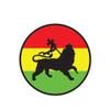 ION Graphics Magnet Rasta Lion of Judah with Border Magnetic Vinyl Die Cut Decal Tribe of Jewish Reggae 5" Car Magnet Bumper Sticker view 1