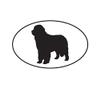 ION Graphics Magnet Newfoundland Euro Oval Magnetic Vinyl Dog Canine pet 5" Car Magnet Bumper Sticker view 1