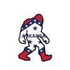 ION Graphics Magnet Arkansas Bigfoot Magnetic Vinyl Vinyl Decal AR Big Foot Sasquatch yeti 5" Car Magnet Bumper Sticker view 1