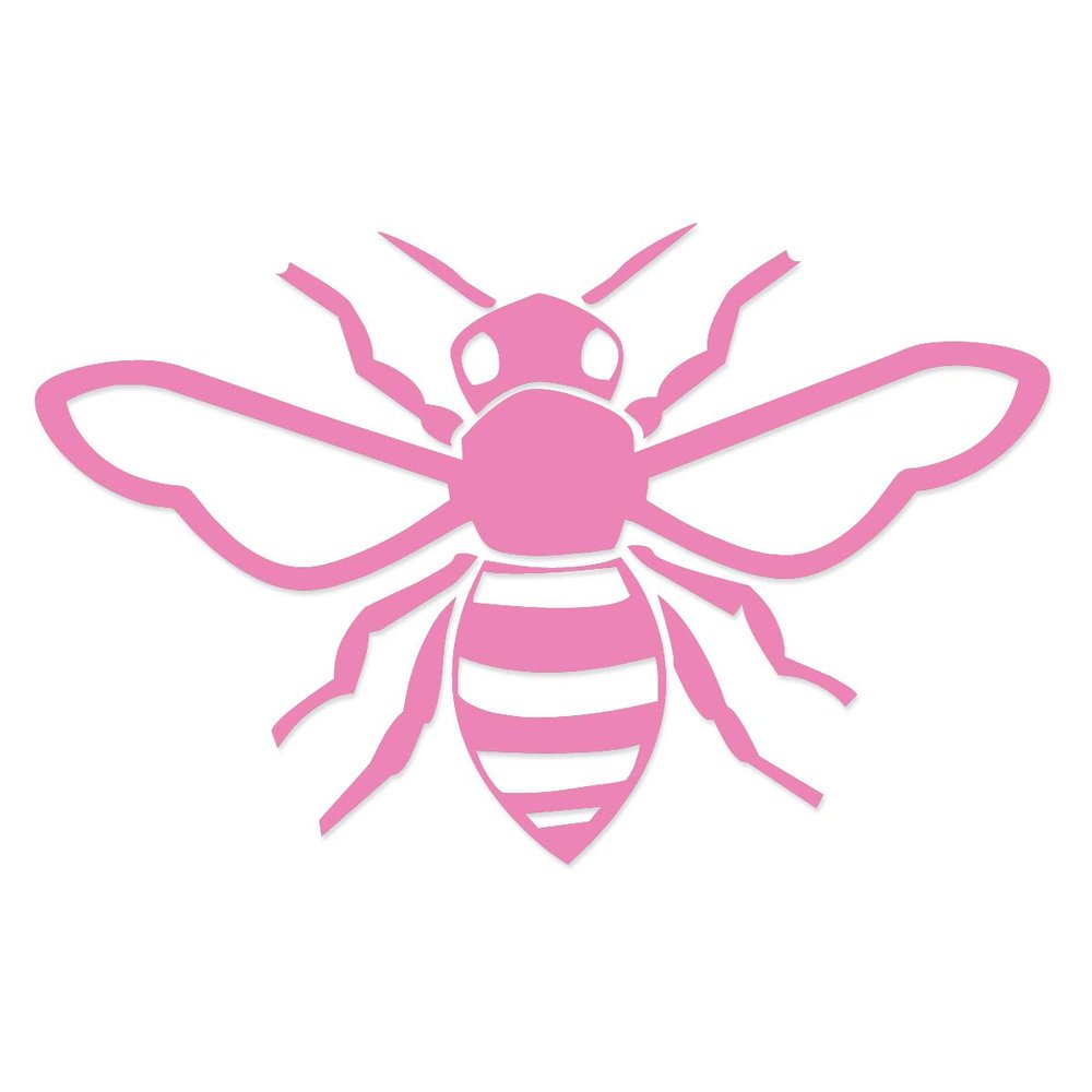 Applicable Pun Honey Bee - Vinyl Decal for Outdoor Use on Cars, ATV, Boats, Windows and More - Light Pink 3 inch