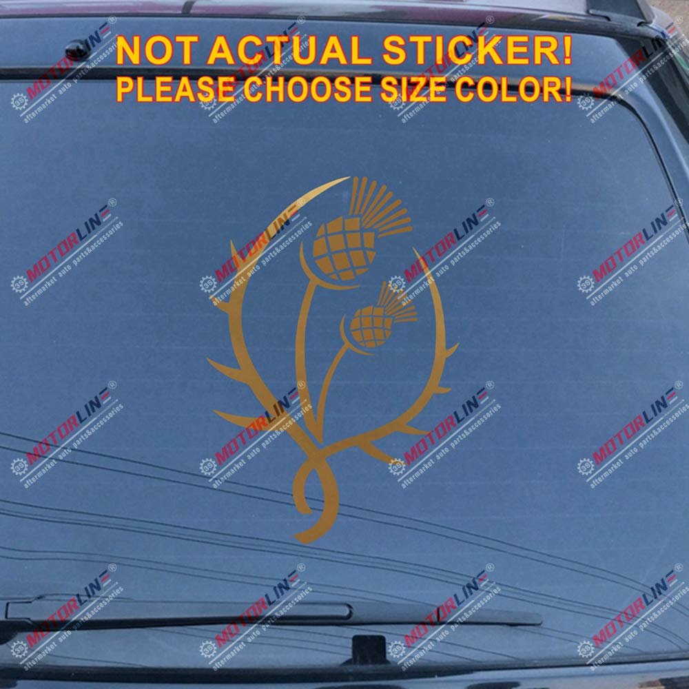 Thistle Scottish Flower Decal Sticker Scotland Car Vinyl Pick Size Color j (Gold, 6''(15.2cm))