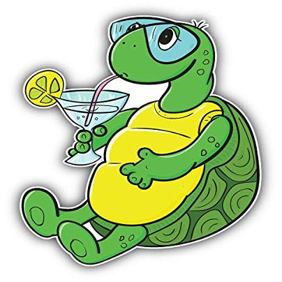 KW Vinyl Magnet Funny Turtle Relax Truck Car Magnet Bumper Sticker Magnetic 5"