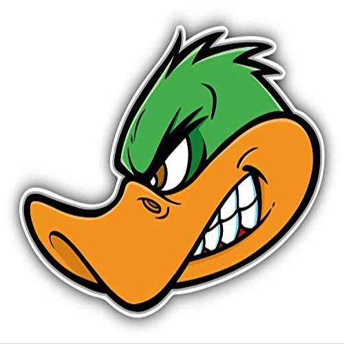 KW Vinyl Magnet Angry Duck Mascot Truck Car Magnet Bumper Sticker Magnetic 5"