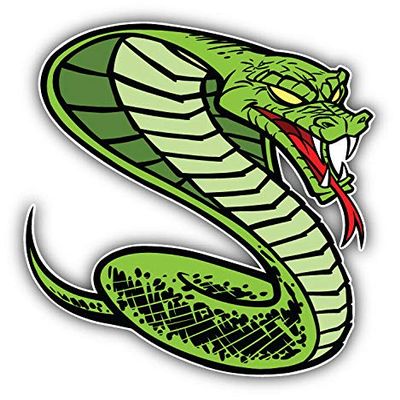 KW Vinyl Magnet Angry Snake Animal Truck Car Magnet Bumper Sticker Magnetic 5"