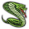 KW Vinyl Magnet Angry Snake Animal Truck Car Magnet Bumper Sticker Magnetic 5" view 1