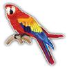 KW Vinyl Magnet Macaw Parrot Truck Car Magnet Bumper Sticker Magnetic 5" view 1