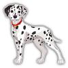 KW Vinyl Magnet Dalmatian Breed Dog Truck Car Magnet Bumper Sticker Magnetic 5" view 1