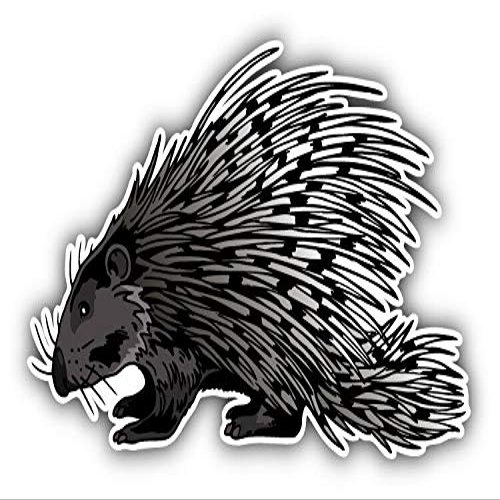 KW Vinyl Magnet Crested Porcupine Truck Car Magnet Bumper Sticker Magnetic 5"