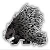 KW Vinyl Magnet Crested Porcupine Truck Car Magnet Bumper Sticker Magnetic 5" view 1