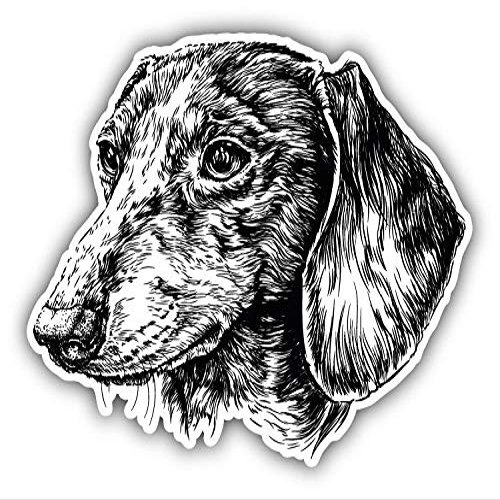 KW Vinyl Magnet Dachshund Head Sketch Truck Car Magnet Bumper Sticker Magnetic 5"