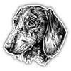 KW Vinyl Magnet Dachshund Head Sketch Truck Car Magnet Bumper Sticker Magnetic 5" view 1