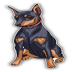 KW Vinyl Magnet Miniature Pinscher Breed Dog Truck Car Magnet Bumper Sticker Magnetic 5"