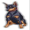 KW Vinyl Magnet Miniature Pinscher Breed Dog Truck Car Magnet Bumper Sticker Magnetic 5" view 1