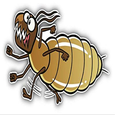 KW Vinyl Magnet Cartoon Termite Running Truck Car Magnet Bumper Sticker Magnetic 5"