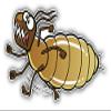 KW Vinyl Magnet Cartoon Termite Running Truck Car Magnet Bumper Sticker Magnetic 5" view 1