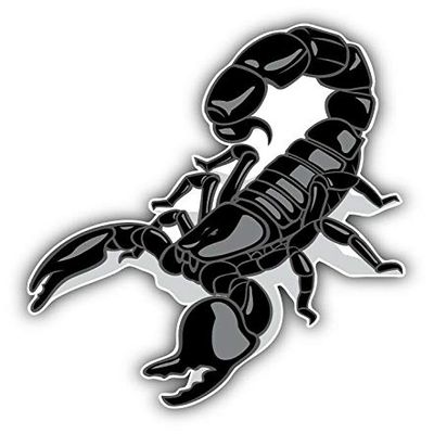 KW Vinyl Magnet Black Scorpio Animal Truck Car Magnet Bumper Sticker Magnetic 5" Decal