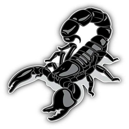 KW Vinyl Magnet Black Scorpio Animal Truck Car Magnet Bumper Sticker Magnetic 5" Decal