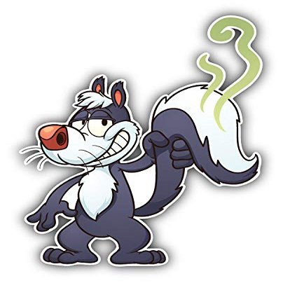 KW Vinyl Magnet Funny Skunk Animal Truck Car Magnet Bumper Sticker Magnetic 5"