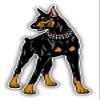 KW Vinyl Magnet Doberman Pinscher Breed Dog Truck Car Magnet Bumper Sticker Magnetic 5" view 1