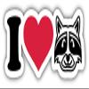 KW Vinyl Magnet I Love Raccoons Truck Car Magnet Bumper Sticker Magnetic 5" view 1