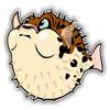 KW Vinyl Magnet Funny Puffer Fish Truck Car Magnet Bumper Sticker Magnetic 5" view 1