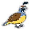 KW Vinyl Magnet California Valley Quail Bird Truck Car Magnet Bumper Sticker Magnetic 5" view 1