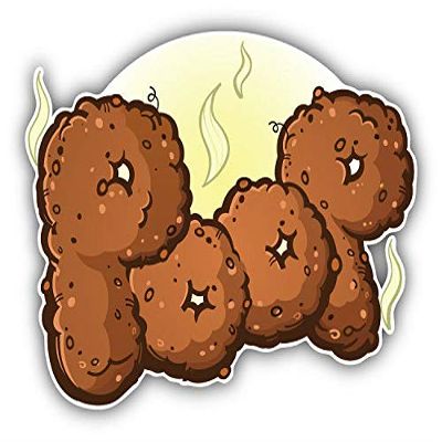 KW Vinyl Magnet Poop Slogan Truck Car Magnet Bumper Sticker Magnetic 5"