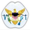 KW Vinyl Magnet Virgin Islands Flag Lips Truck Car Magnet Bumper Sticker Magnetic 5" view 1