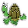 KW Vinyl Magnet Happy Turtle Cartoon Truck Car Magnet Bumper Sticker Magnetic 5" view 1