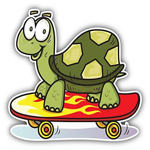 KW Vinyl Magnet Funny Turtle Skateboard Truck Car Magnet Bumper Sticker Magnetic 5"