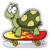 KW Vinyl Magnet Funny Turtle Skateboard Truck Car Magnet Bumper Sticker Magnetic 5" view 1